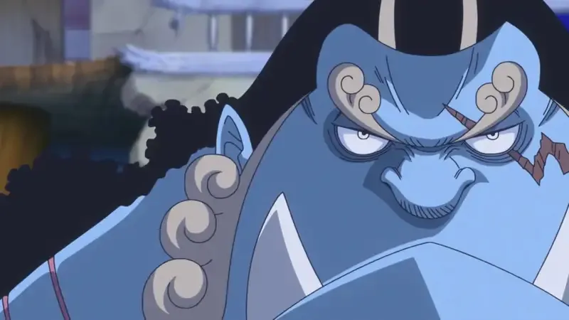 Jinbei 50