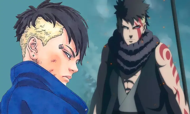 Kawaki 52
