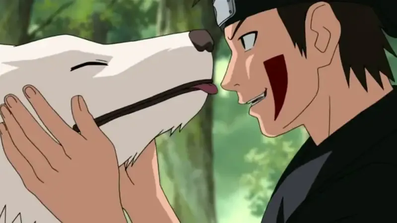 Kiba Inuzuka 30