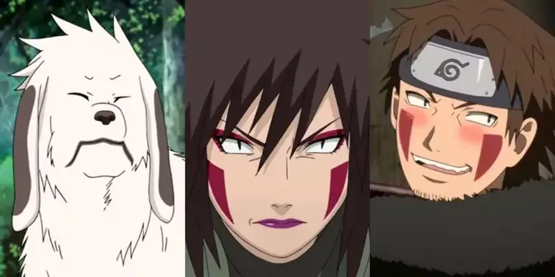 Kiba Inuzuka 24