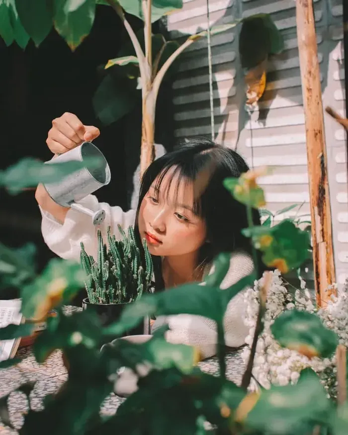 Lâm Thanh Mỹ 9