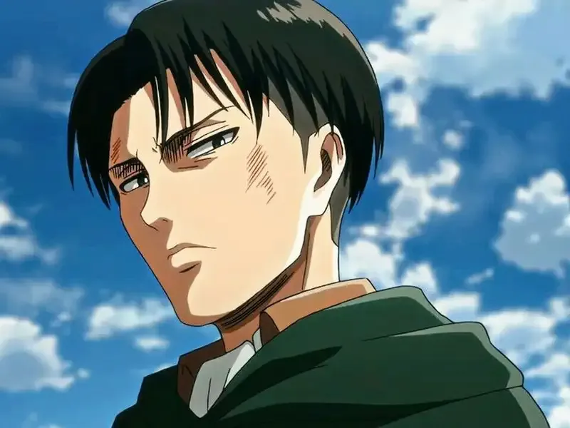 Levi Ackerman 8