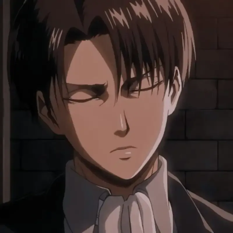 Levi Ackerman 11