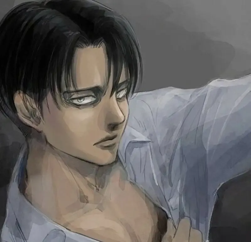 Levi Ackerman 14