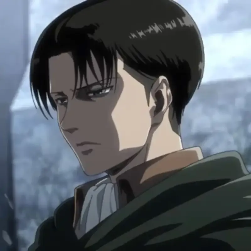Levi Ackerman 23