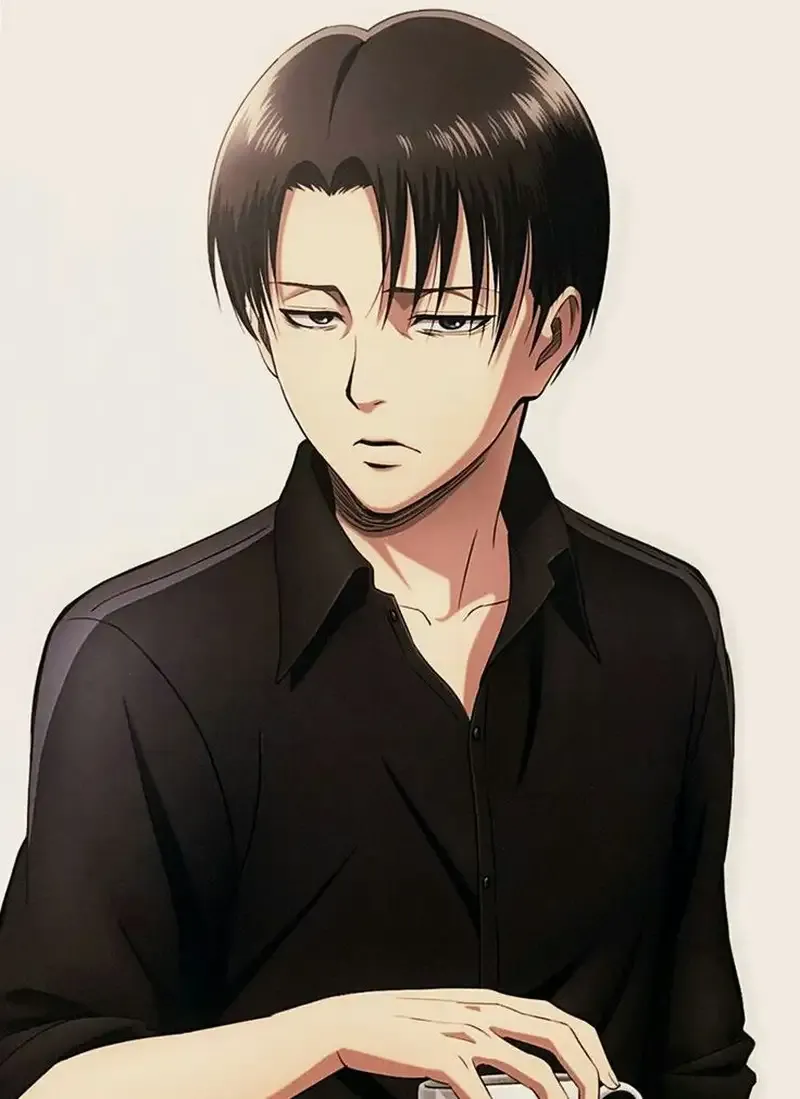Levi Ackerman 24