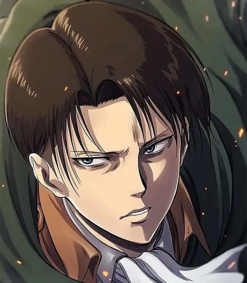 Levi Ackerman 29
