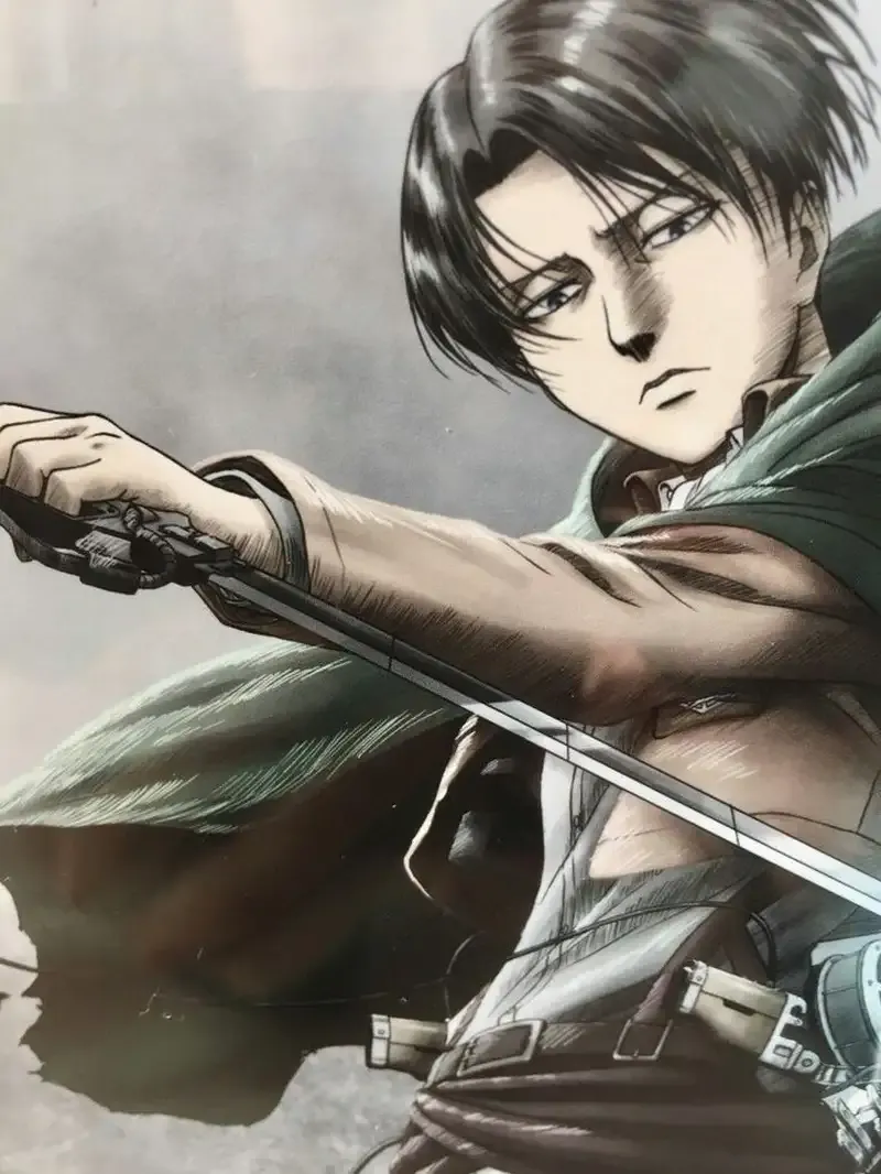 Levi Ackerman 37