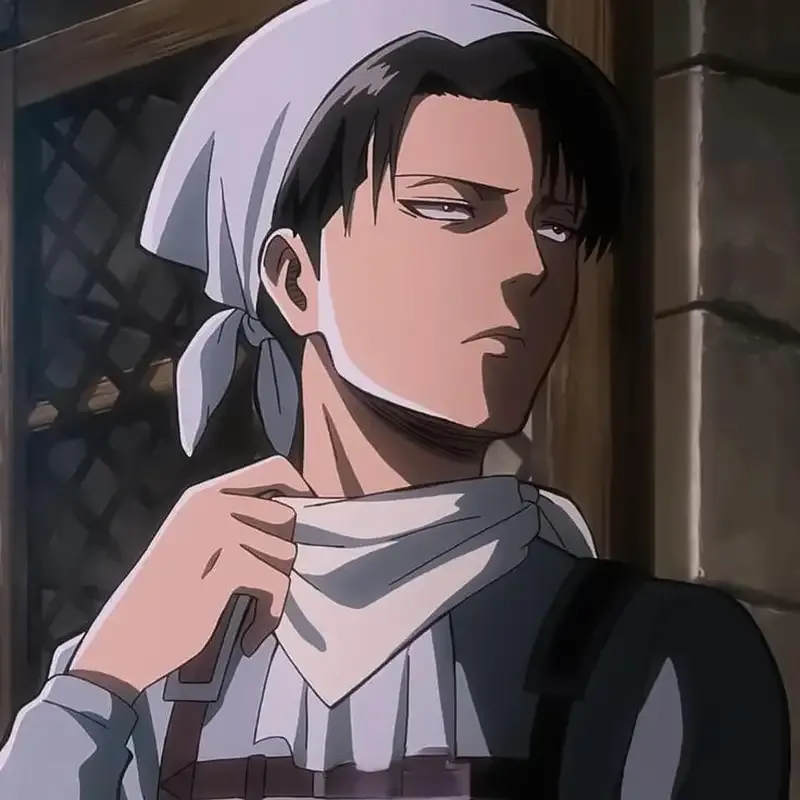 Levi Ackerman 48