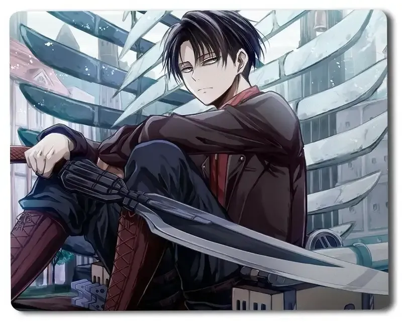 Levi Ackerman 55