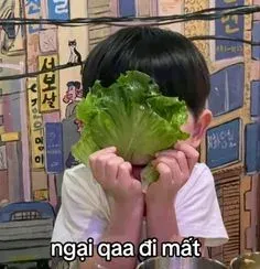 meme ngại 2