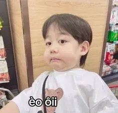 meme ngại 9
