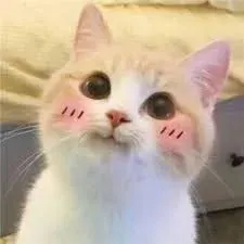 meme ngại 14