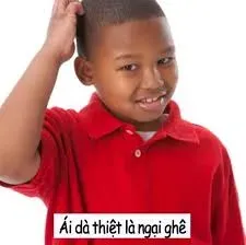 meme ngại 17