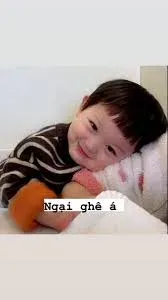 meme ngại 20