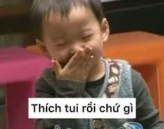 meme ngại 25