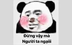 meme ngại 27