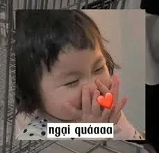 meme ngại 29