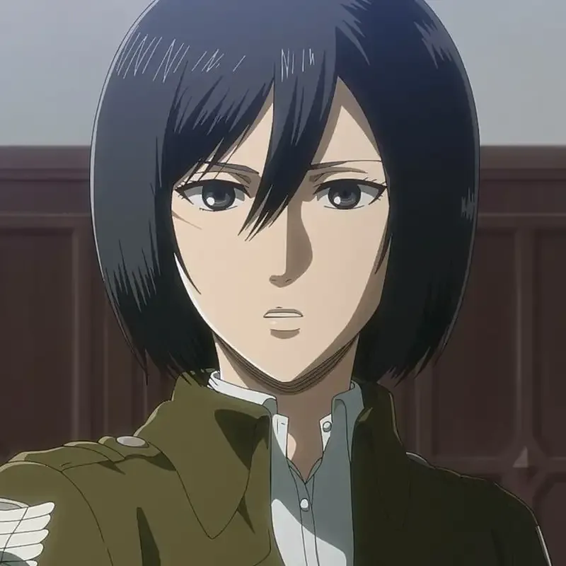 Mikasa Ackerman 5
