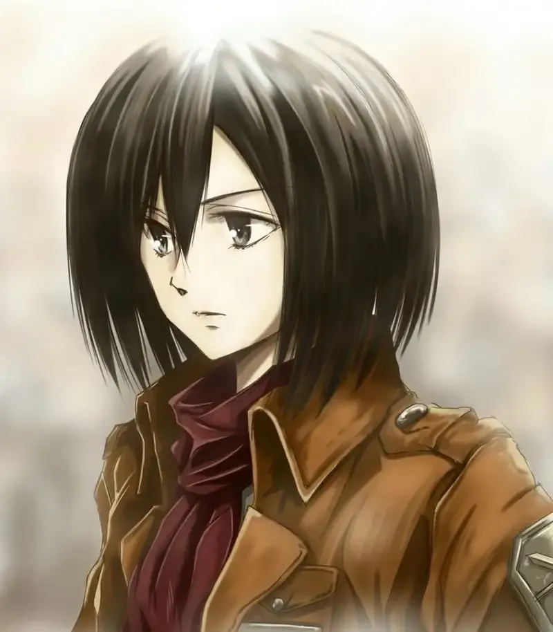 Mikasa Ackerman 11