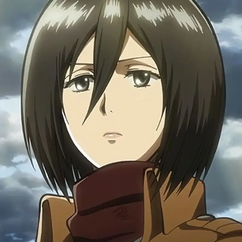 Mikasa Ackerman 40