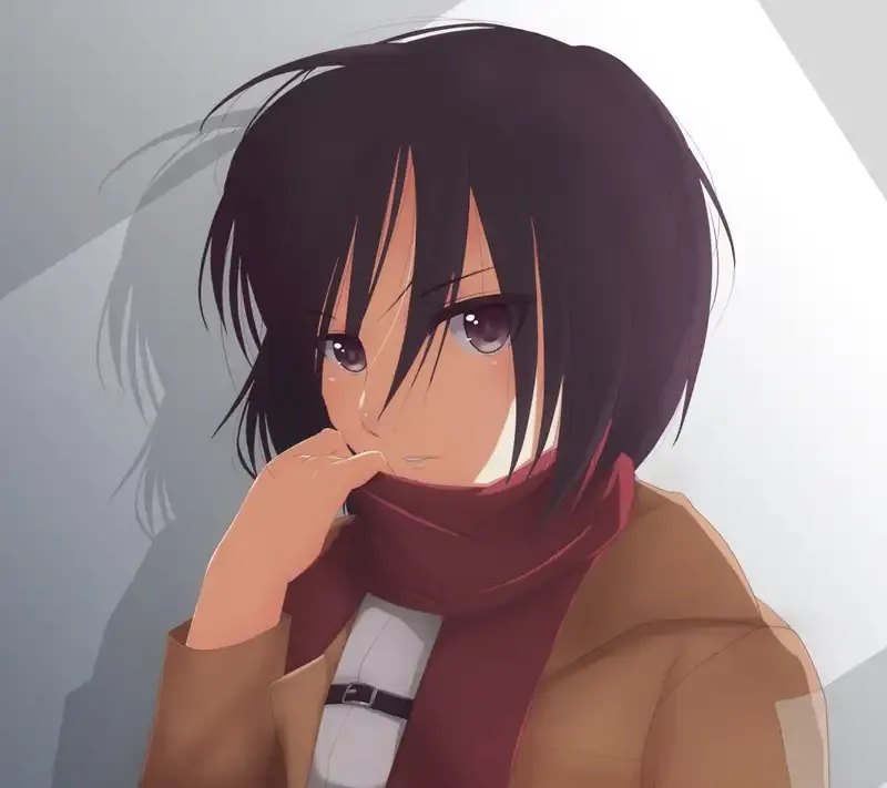 Mikasa Ackerman 47