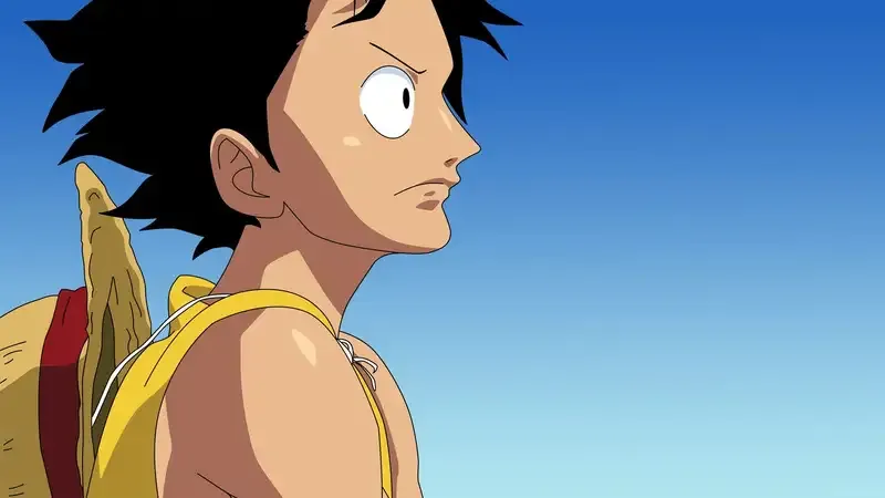 Monkey D. Luffy 8