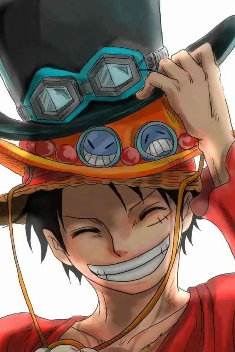 Monkey D. Luffy 10