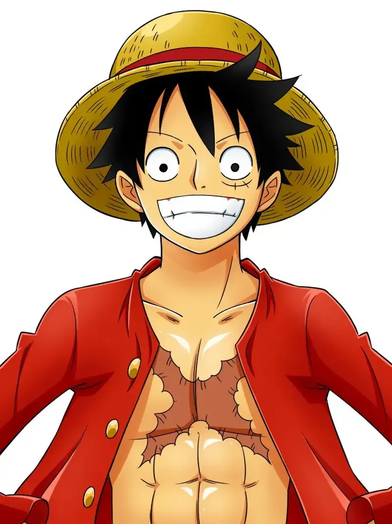 Monkey D. Luffy 11