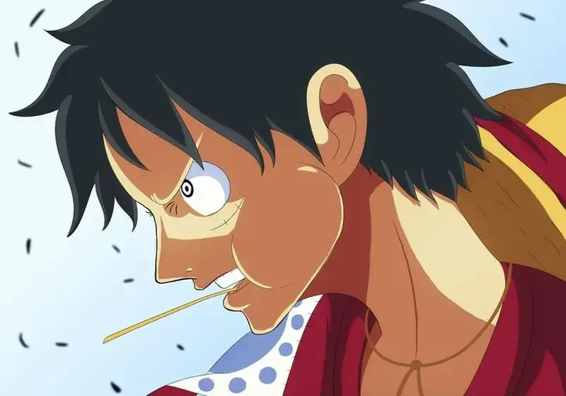 Monkey D. Luffy 12