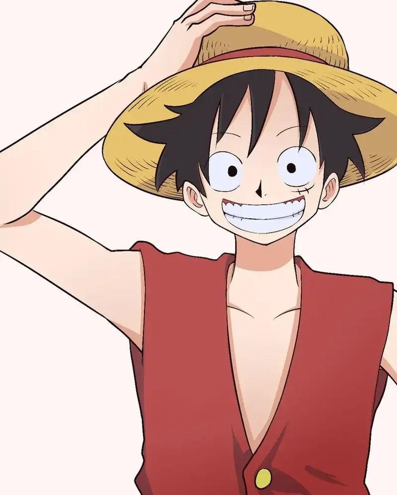 Monkey D. Luffy 14