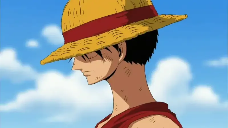 Monkey D. Luffy 15