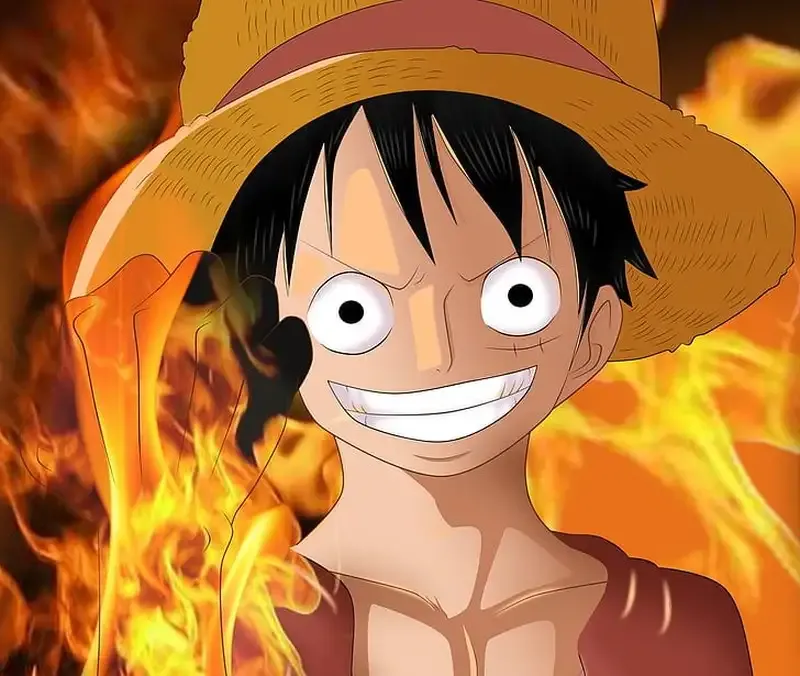 Monkey D. Luffy 17