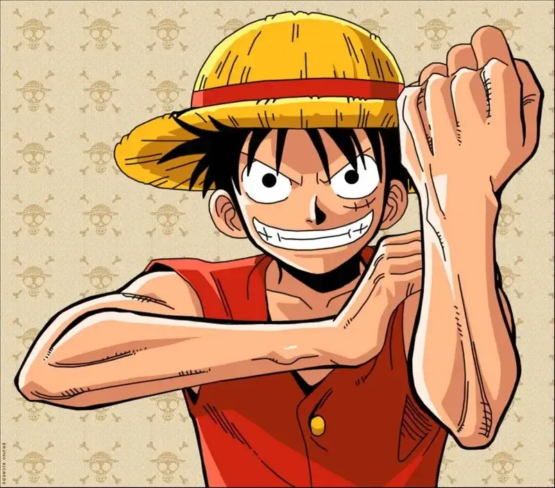 Monkey D. Luffy 18