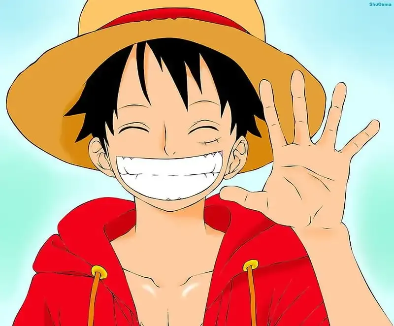 Monkey D. Luffy 25