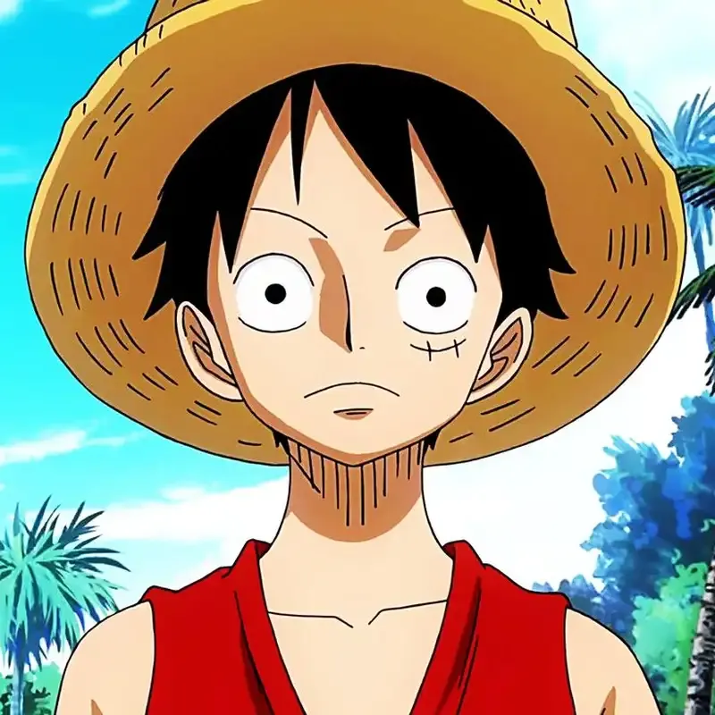 Monkey D. Luffy 27