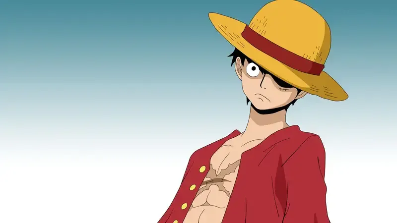 Monkey D. Luffy 29