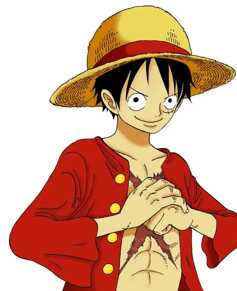 Monkey D. Luffy 31