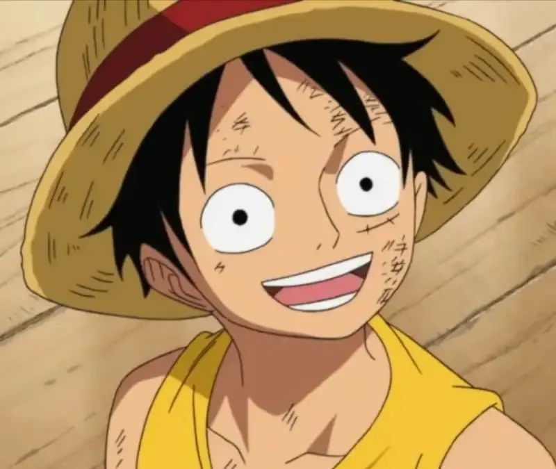 Monkey D. Luffy 40