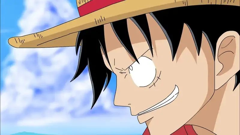 Monkey D. Luffy 45