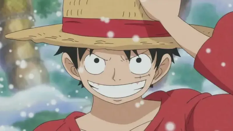 Monkey D. Luffy 46