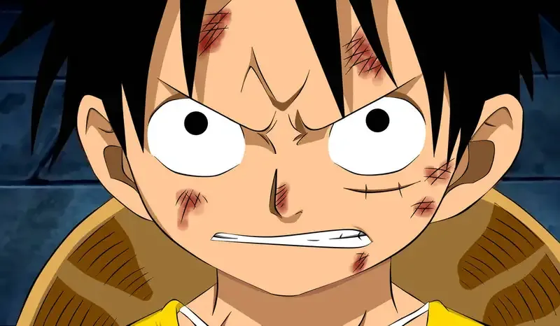 Monkey D. Luffy 49