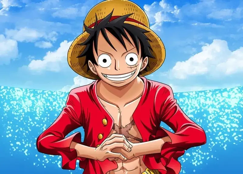 Monkey D. Luffy 51