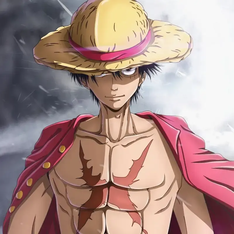 Monkey D. Luffy 54