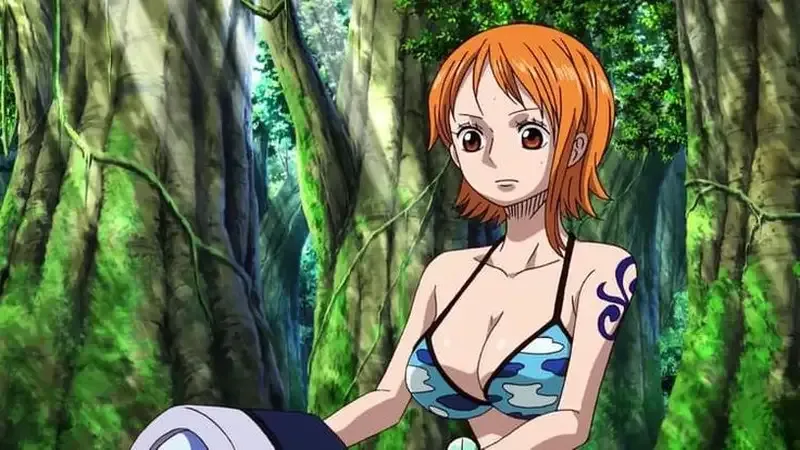 Nami 29