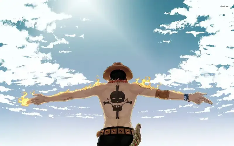 Portgas D. Ace 6
