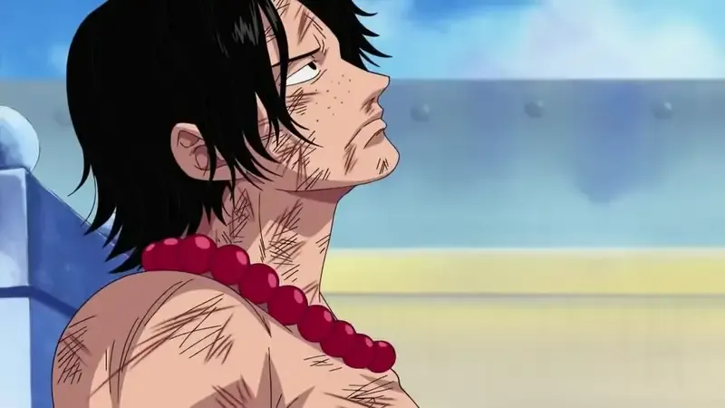 Portgas D. Ace 14