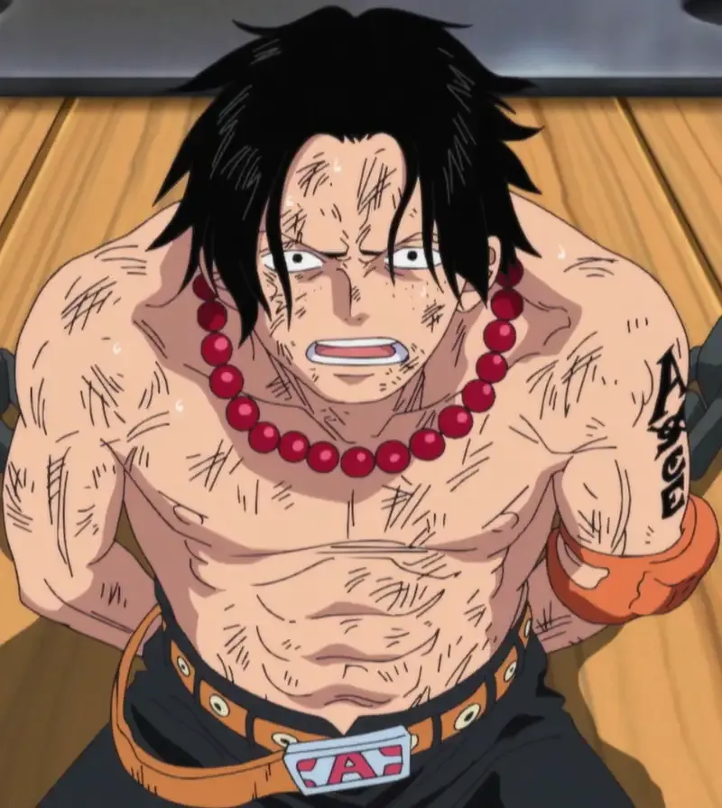 Portgas D. Ace 28