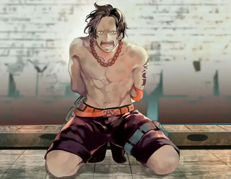 Portgas D. Ace 33