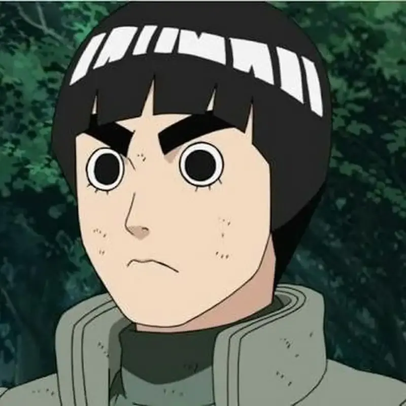 Rock Lee 13